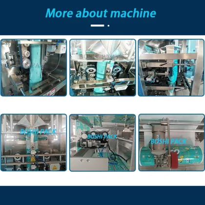 Low Price Automatic Pouch Packing Machine for Goya Tostones Garlic with Sea Salt Chips