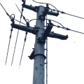 Low voltage high mast steel power transmission pole