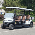 6-seater golf cart with bucket