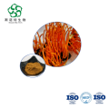 Organic Cordyceps Sinensis Extract Powder Bulk