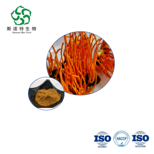 Organic Cordyceps Sinensis Extract Powder Bulk