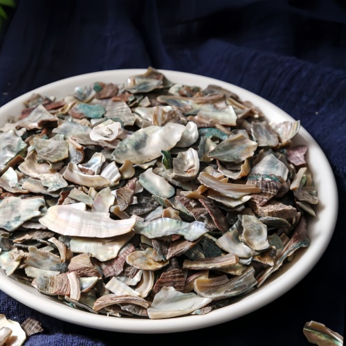 Abalone Shell for Liver Calming and Wind Control