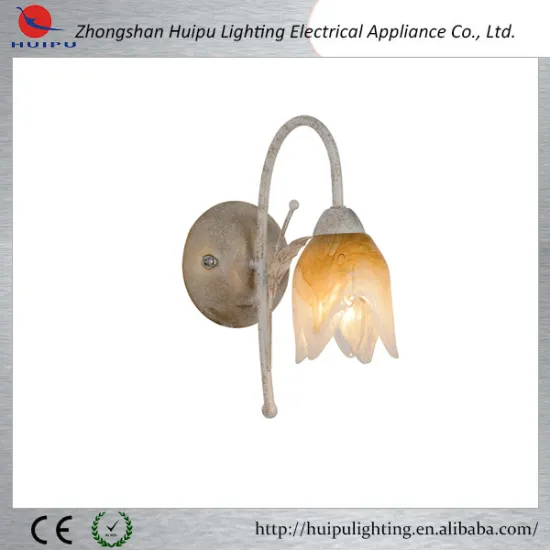 new design painting flower shade reading wall lamp