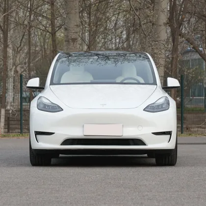 Tesla Model Y: Advanced Electric Cars for Adult Consumers in the New Energy Vehicle Market