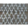 Razor Wire Flat Hot Galv. Ribon Concertina Razor Fence Supplier