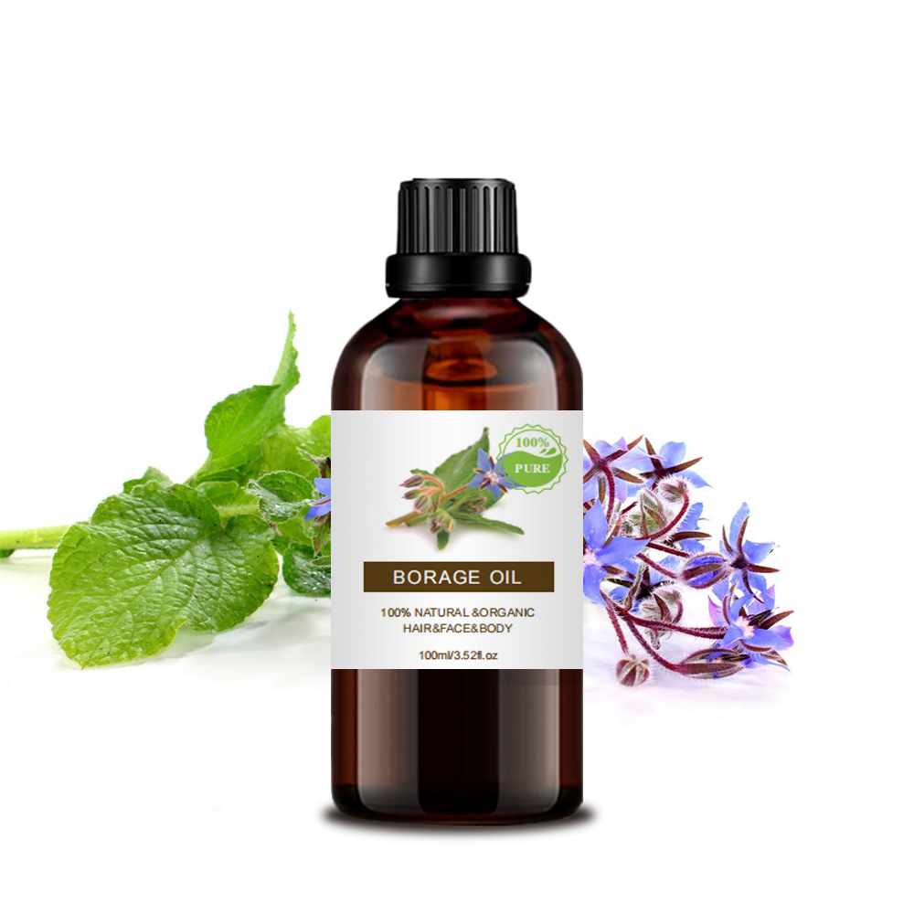 도매 벌크 가격 화장품 등급 Borage Seed Oil