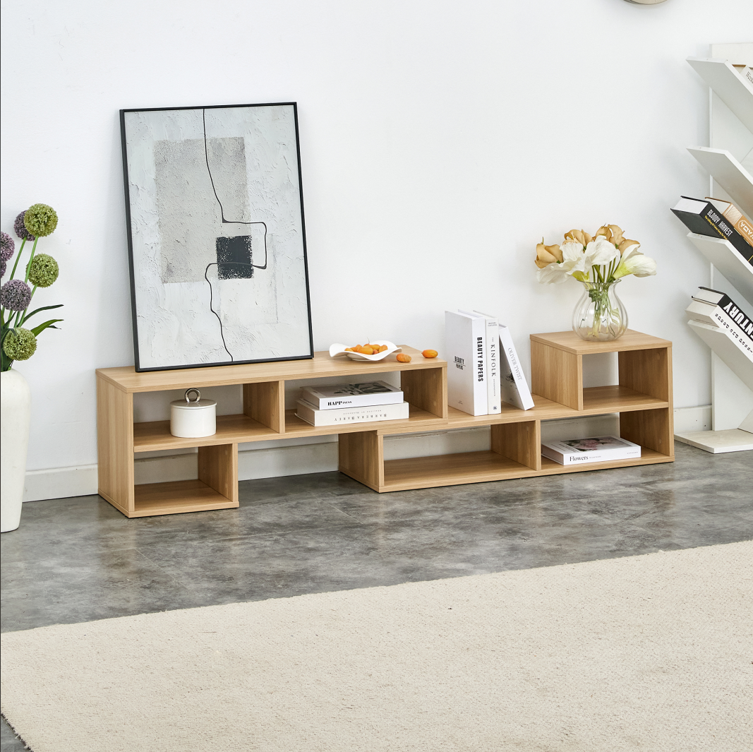 Modern TV Cabinet with Wooden Panel