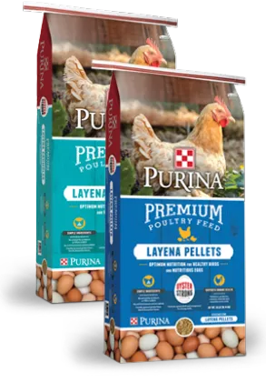 Chicken Feeds Packaging Poutry Feeds Bag