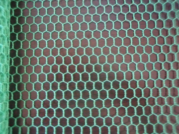 Focus Your Eyes on PVC Hexagonal Wire Mesh