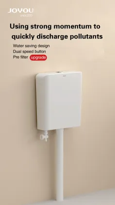 Evolution and development of squatting potty
