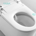 Floor Smart Toilet Modern Design Bidet Smart One Piece Toilet Manufactory