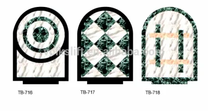 Sightseeing lifts elevator