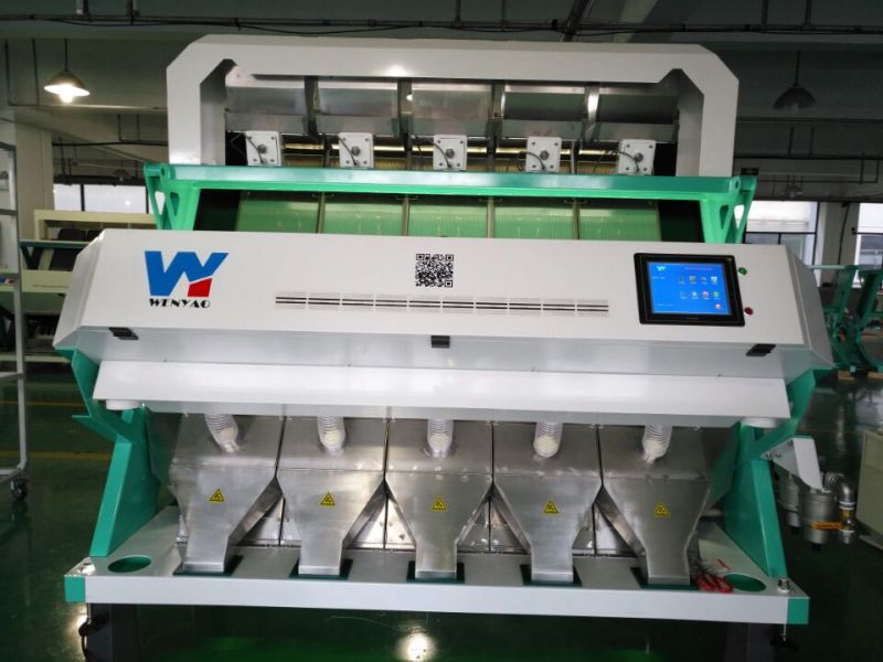 Automatic CCD Color Sorter for Nut Processing: Cashew, Apricot Kernel, Walnut, Almond Machines