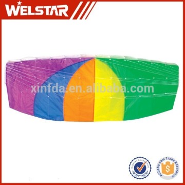 Super Dual Line Power Kite