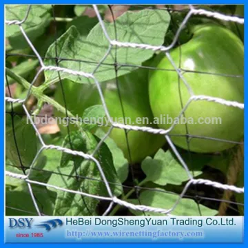 Hexagonal Wire Mesh/High quality galvanized hexagonal netting/chicken mesh