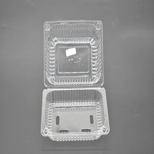 Newest Customized PET Blister Packaging for fruit