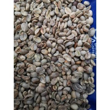 Tela de grau 2 13 Robusta Coffee Beans