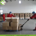 Wholesale Bulk Fruit Low Pesticide Goji Berry