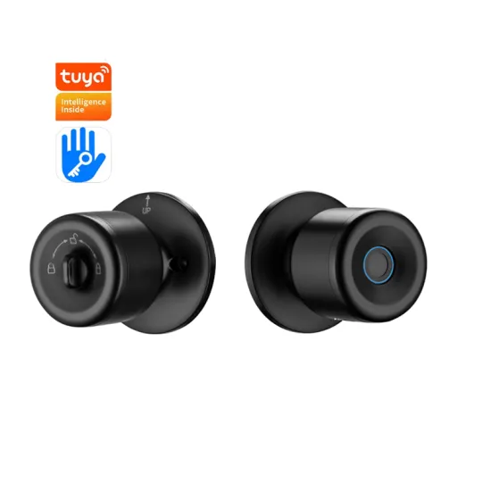 Biometric Ttlock Double Sided Fingerprint Tubular knob Lock
