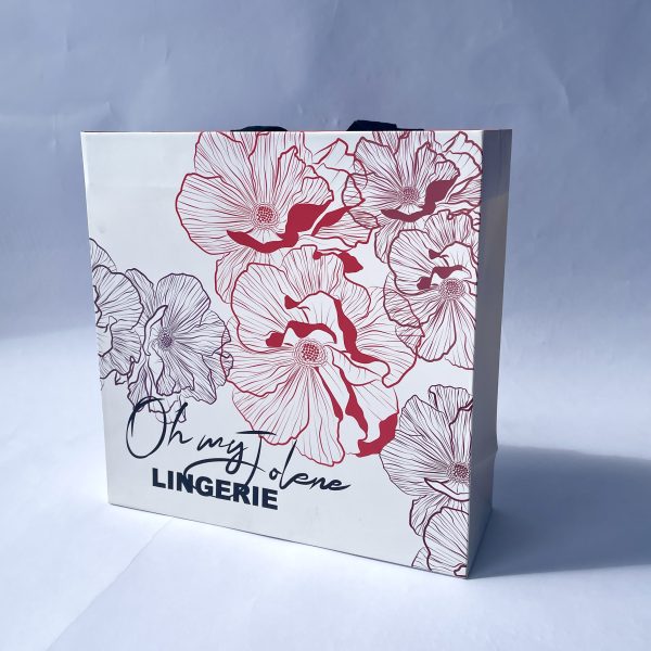 Unique Design Luxury Gift Shopping Ribbon Handle Bag