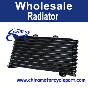 1995-1999 For Suzuki GSF600 New Radiator FRDSU001