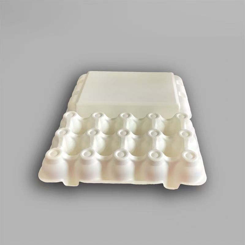 White wet-pressed egg carton