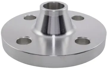 Stainless Steel RF FF WN Brida Flange