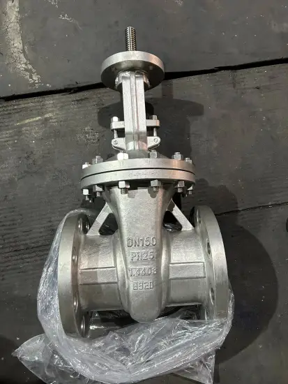 DN150 PN25 1.4408 Gate Valve