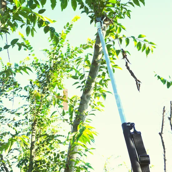 Electric Shears and Long Handle Tree Trimmers
