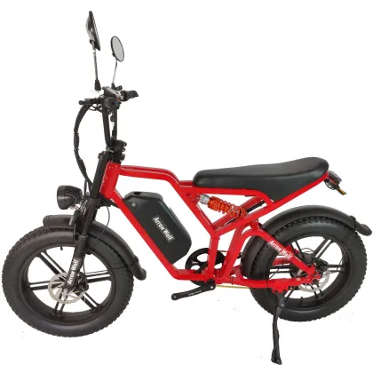 Snow retro electric bicycle