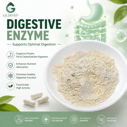 Digestive Enzyme Complex Digestive Health Nutritional Supplements