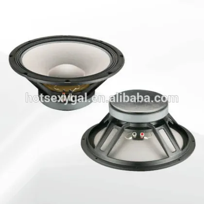 W0218 5.1 speaker rcf woofer with CE and RoHS