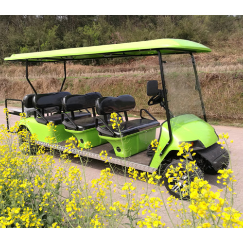 competitive price of gas powered golf car