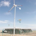 Vit 10 kW 220V 380V Permanent Magnet Generator vindkraftverk