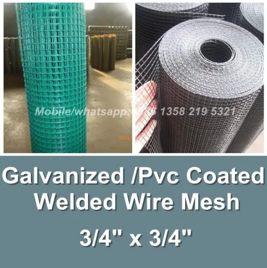 china anping galvanized welded wire mesh