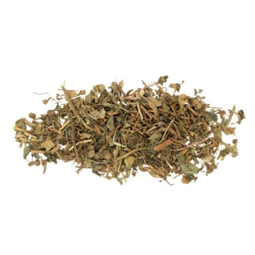 Houttuynia Cordata: A Natural Herb for Health Benefits