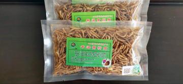 good park bird food