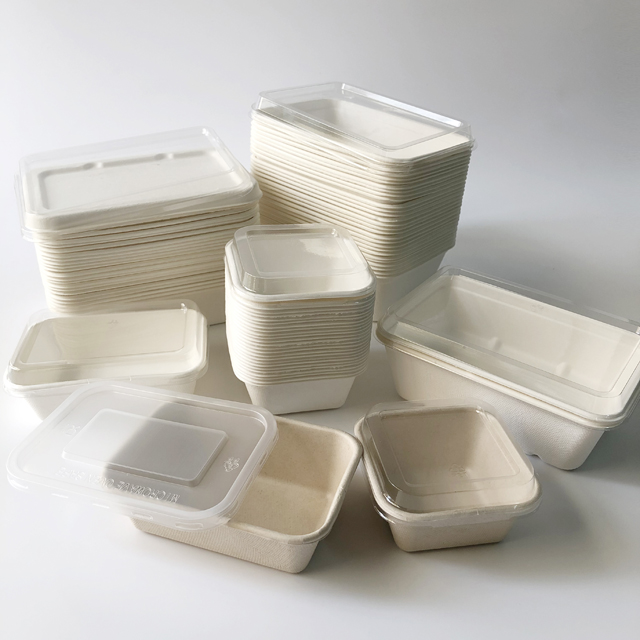 Bagasse trays