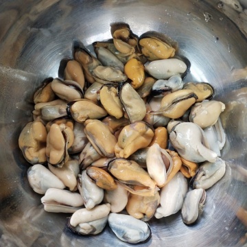 Frozen Green Lipped Mussel Meat
