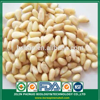 Promotion Constant Supply Wild Harvest Siberian Pine Nut Kernels