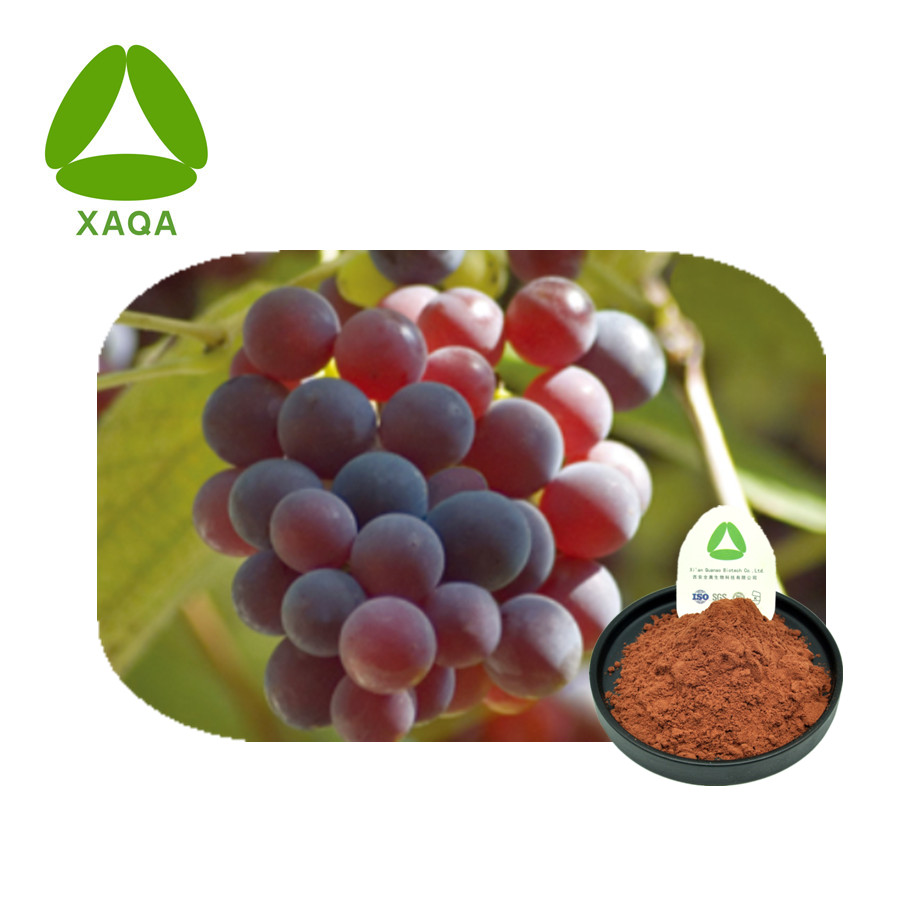 Grape Skin Extract 30% Polyphenol 5% Resveratrol Powder