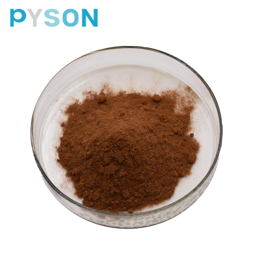 Chaga-Extrakt (Polysaccharide 50% UV) (aus Myzel)
