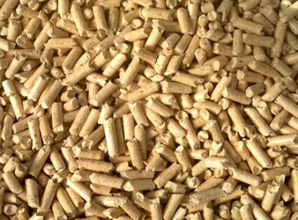 Pellet Machine/Fote Pellet Machine/Pellet Mill