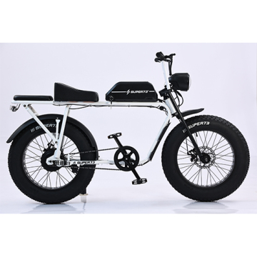 20 Inch Electric Fat Bike: New Models and Reviews