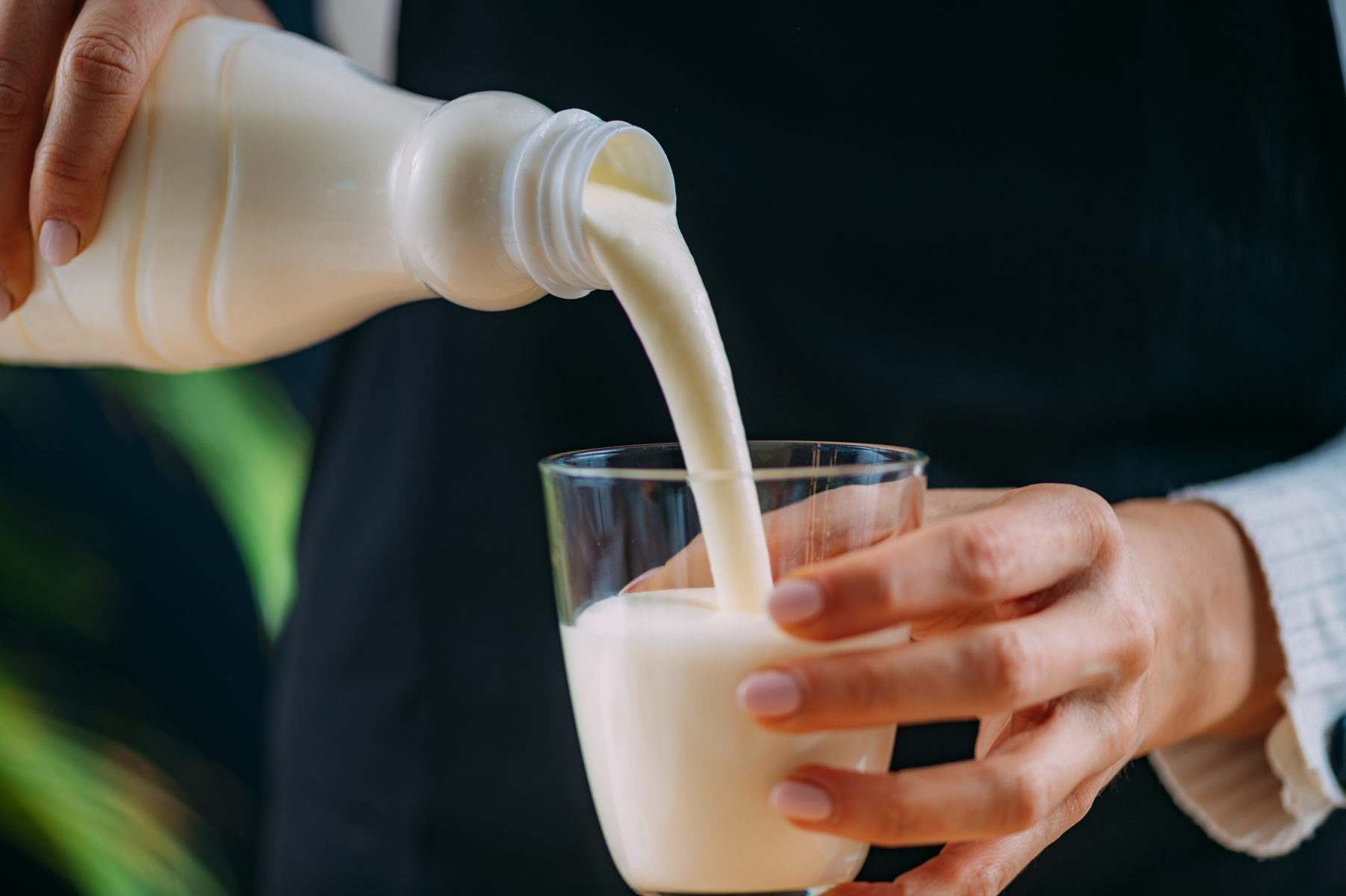 Food Additive yogurt