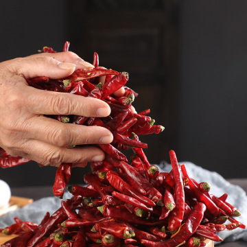 Reichliche Mengen an Chili Shizhu Chili Trockenfracht