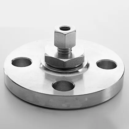metal precision casting forging flange adaptors