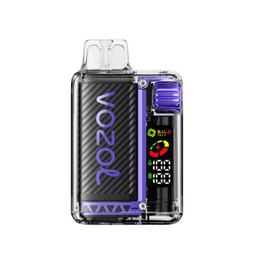 VOZOL VISTA 20000 Puffs Vape Pen Germany Wholesale