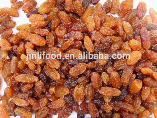 China dried sultana raisin