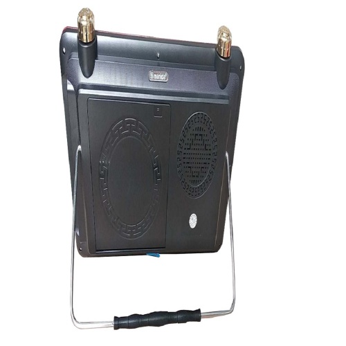 Handheld plastic battery powered dvd player